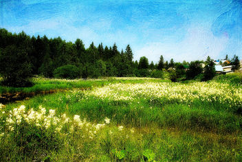 South Ural - Free image #323413